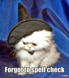 Cat with a witch's hat, and the caption, Forgot to spell check